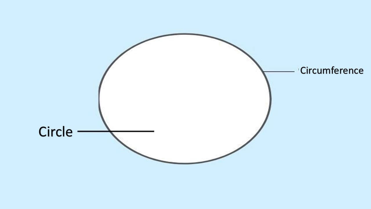 difference-between-circle-and-circumference-diagram-differencekey